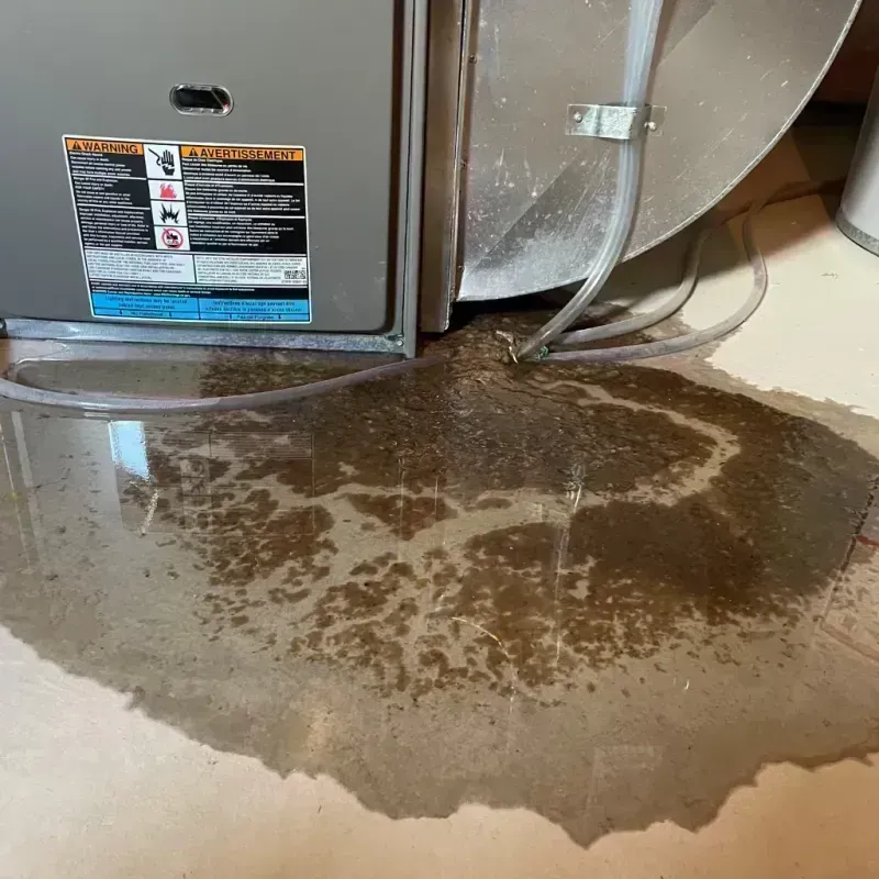 Appliance Leak Cleanup in Cave Junction, OR